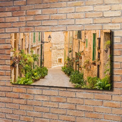 Foto quadro su tela Vie storiche