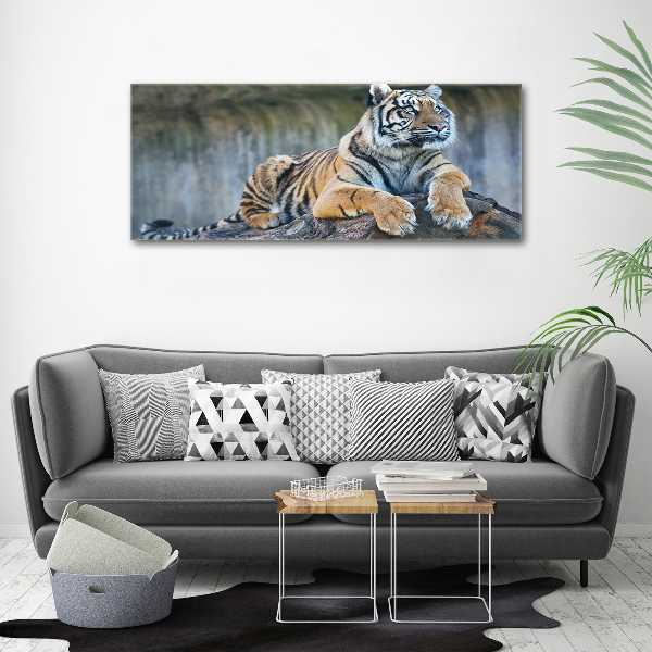 Foto quadro su tela Tigre