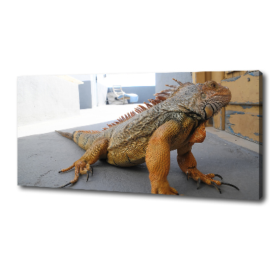 Quadro su tela Iguana
