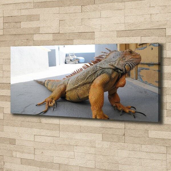 Quadro su tela Iguana