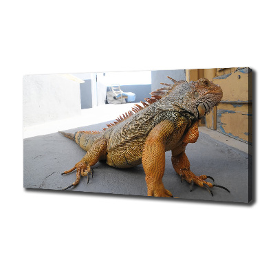 Quadro su tela Iguana