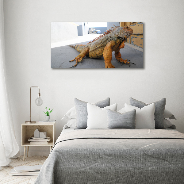 Quadro su tela Iguana
