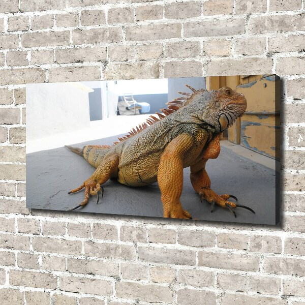 Quadro su tela Iguana
