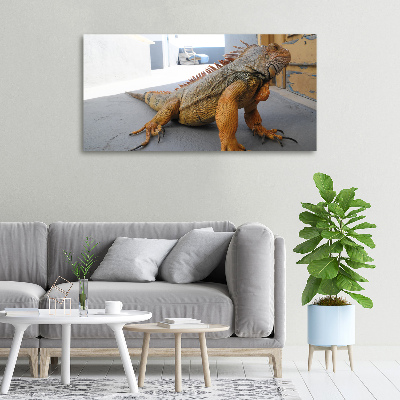 Quadro su tela Iguana