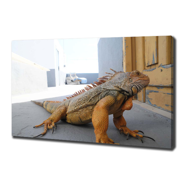 Quadro su tela Iguana