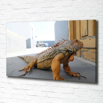 Quadro su tela Iguana