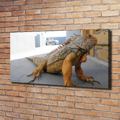 Quadro su tela Iguana