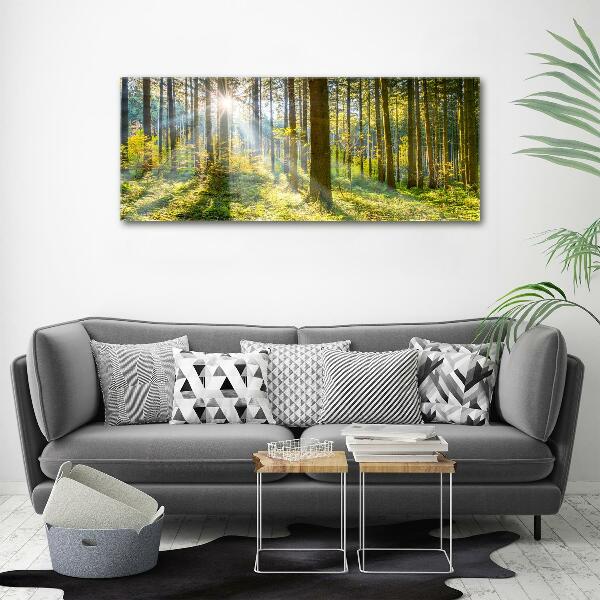 Quadro su tela Foresta al sole