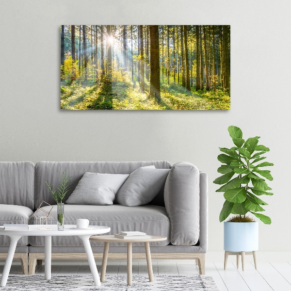 Quadro su tela Foresta al sole