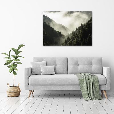 Quadro stampa su tela Nebbia sulla foresta