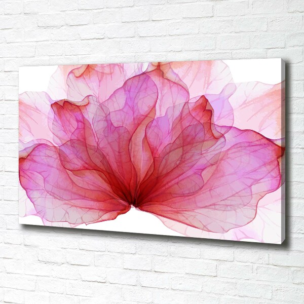 Quadro stampa su tela Fiore rosa