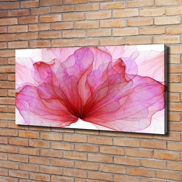 Quadro stampa su tela Fiore rosa