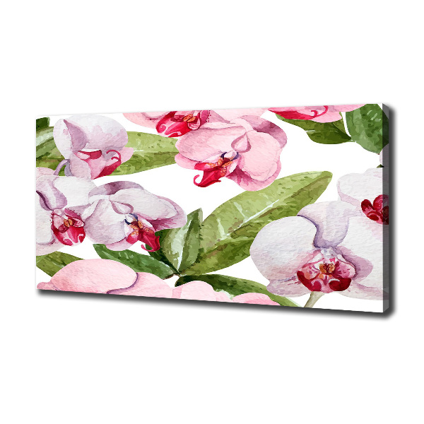 Quadro su tela Orchidee rosa
