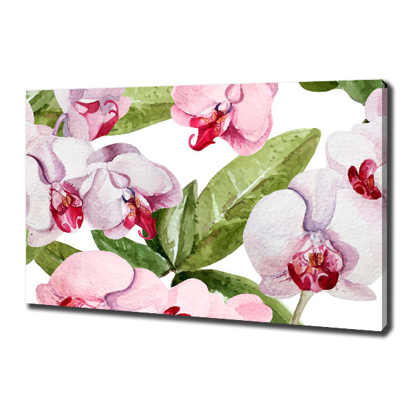 Quadro su tela Orchidee rosa