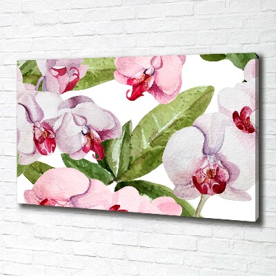 Quadro su tela Orchidee rosa
