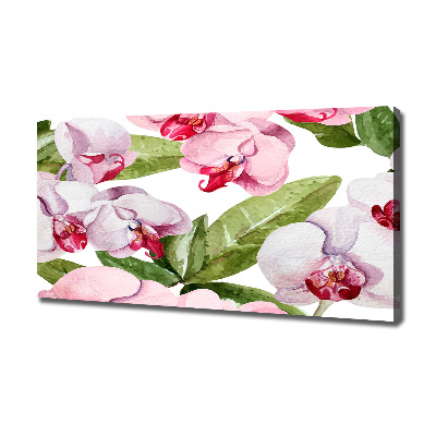 Quadro su tela Orchidee rosa