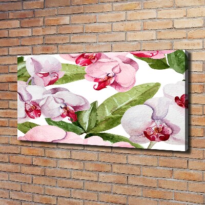 Quadro su tela Orchidee rosa