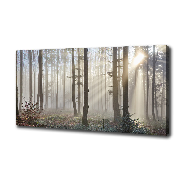 Quadro su tela Nebbia nella foresta