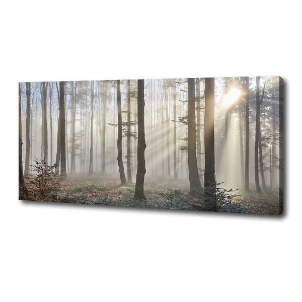 Quadro su tela Nebbia nella foresta