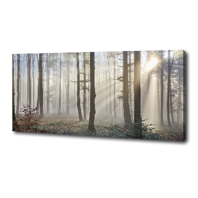 Quadro su tela Nebbia nella foresta
