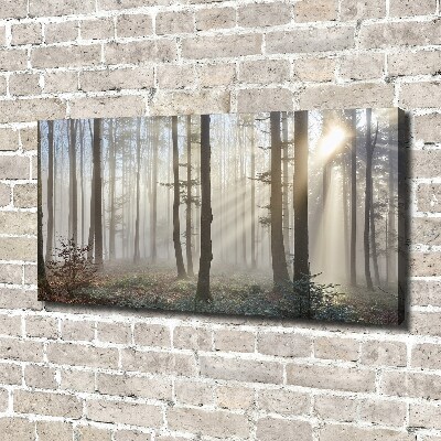 Quadro su tela Nebbia nella foresta