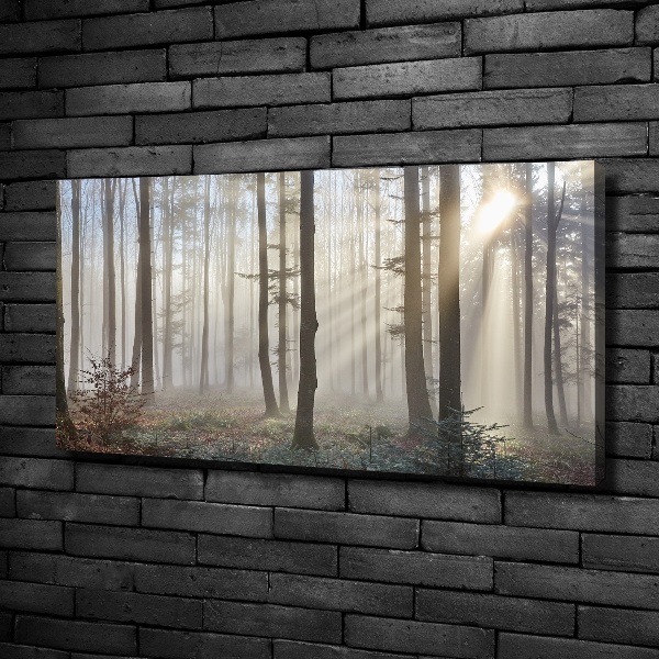 Quadro su tela Nebbia nella foresta