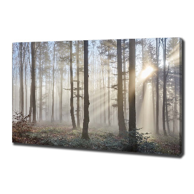 Quadro su tela Nebbia nella foresta