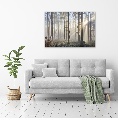 Quadro su tela Nebbia nella foresta