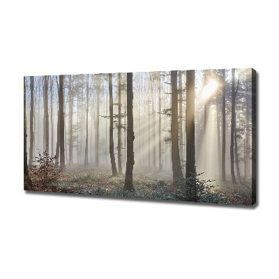 Quadro su tela Nebbia nella foresta