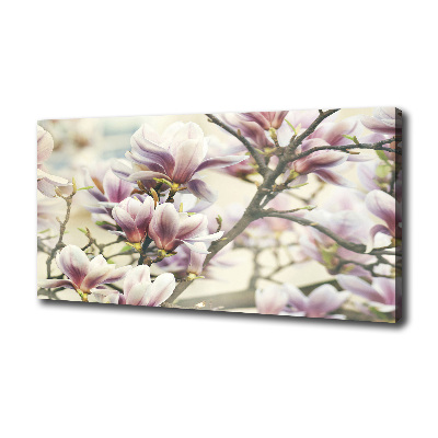 Foto quadro su tela Magnolia