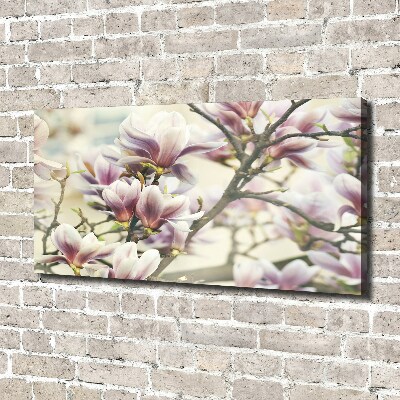 Foto quadro su tela Magnolia