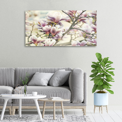 Foto quadro su tela Magnolia