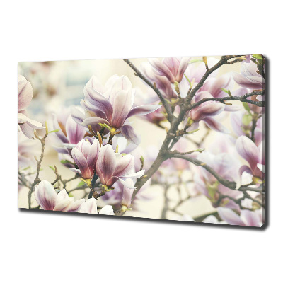 Foto quadro su tela Magnolia