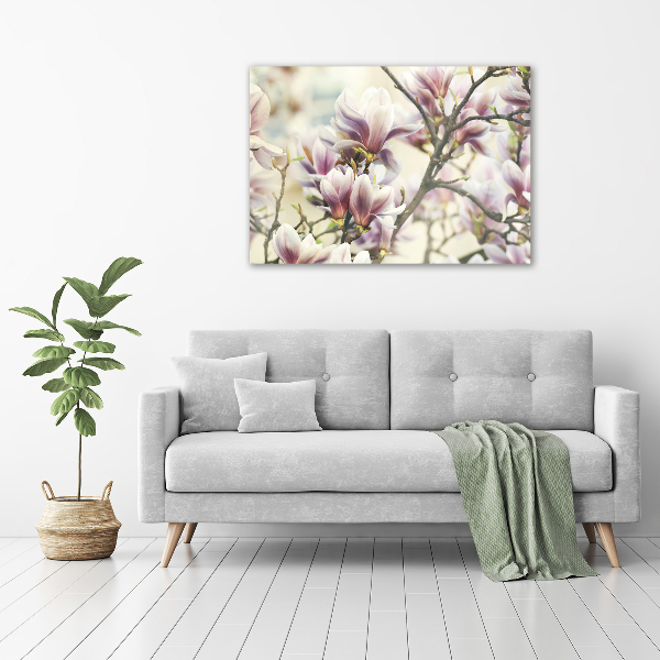 Foto quadro su tela Magnolia