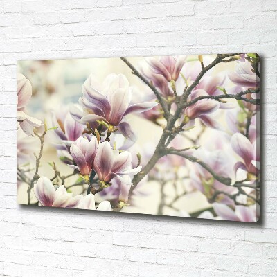 Foto quadro su tela Magnolia