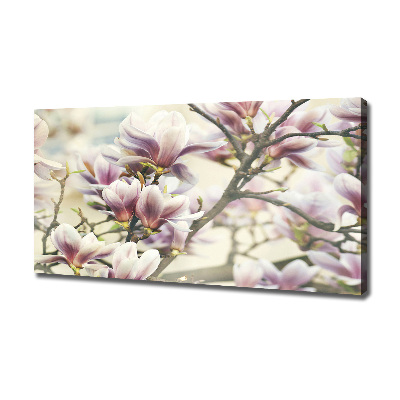 Foto quadro su tela Magnolia
