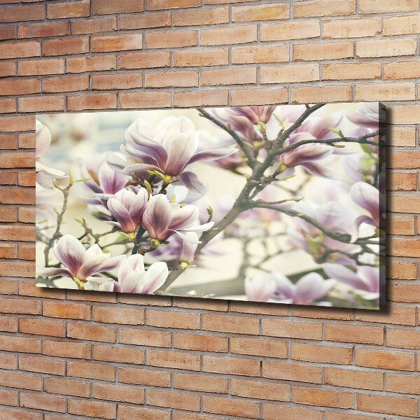 Foto quadro su tela Magnolia