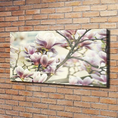 Foto quadro su tela Magnolia