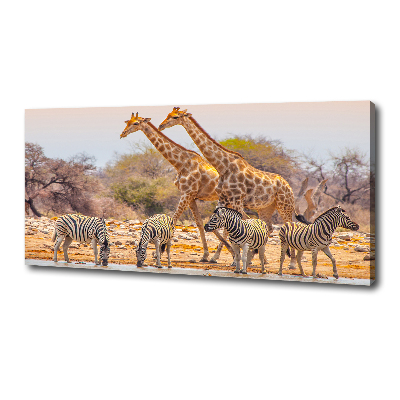 Foto quadro su tela Giraffe e zebre