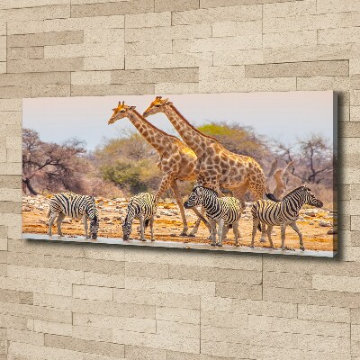 Foto quadro su tela Giraffe e zebre