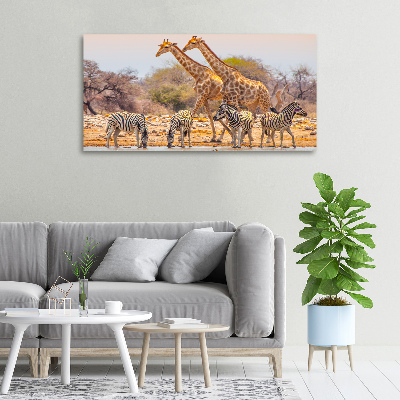 Foto quadro su tela Giraffe e zebre