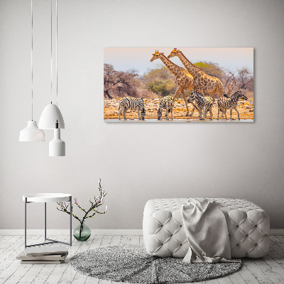 Foto quadro su tela Giraffe e zebre