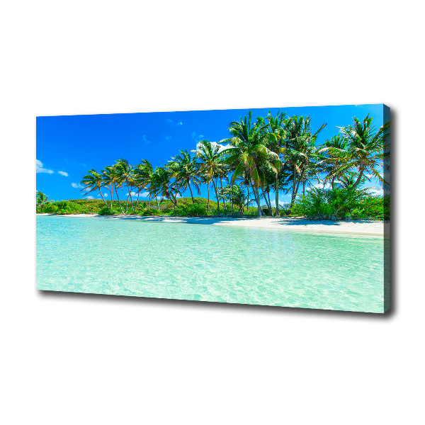 Foto quadro su tela Spiaggia tropicale