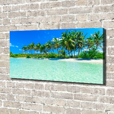 Foto quadro su tela Spiaggia tropicale
