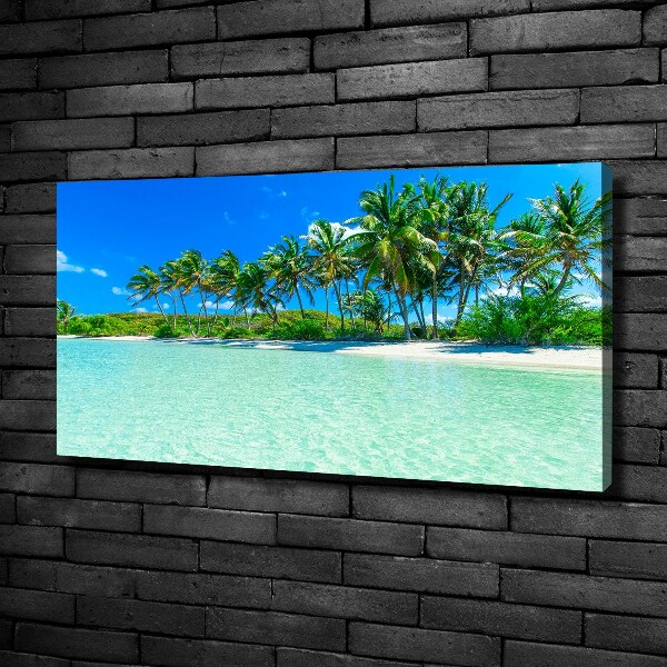 Foto quadro su tela Spiaggia tropicale
