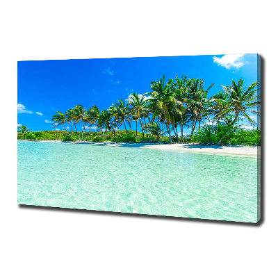 Foto quadro su tela Spiaggia tropicale