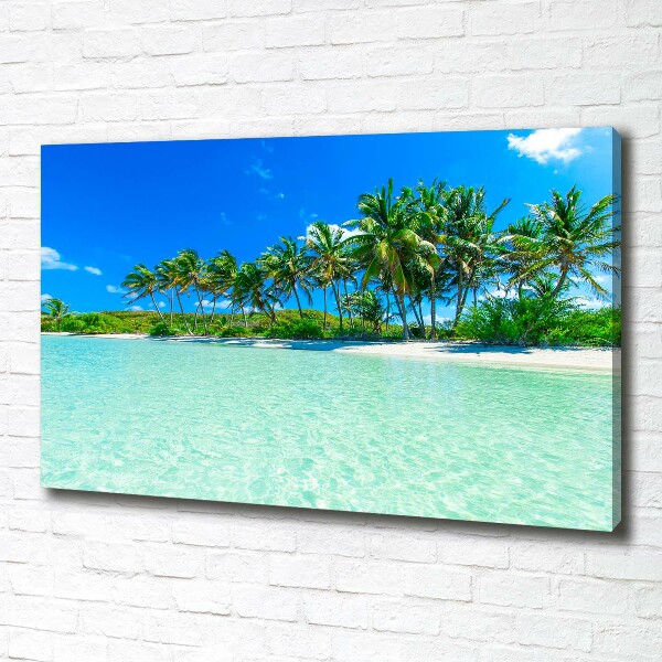 Foto quadro su tela Spiaggia tropicale