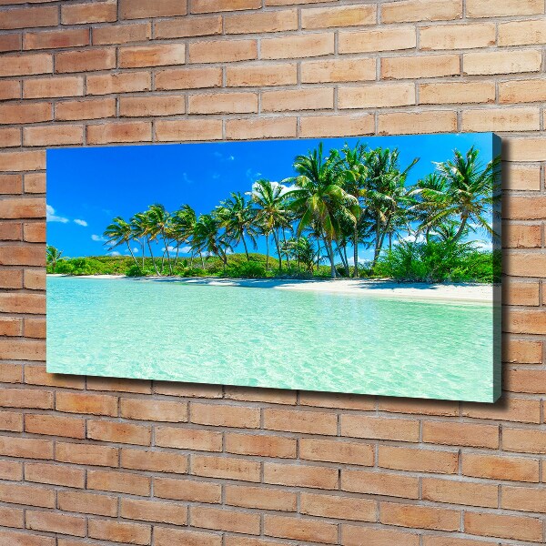 Foto quadro su tela Spiaggia tropicale