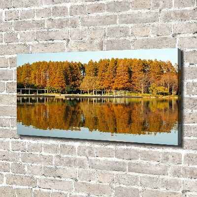 Quadro su tela Foresta in riva al lago