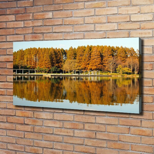 Quadro su tela Foresta in riva al lago